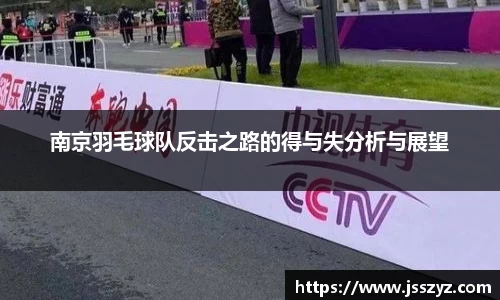 南京羽毛球队反击之路的得与失分析与展望